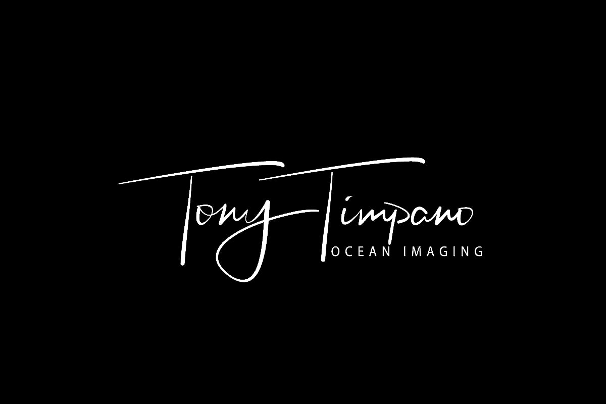 undersea photos by tony timpano