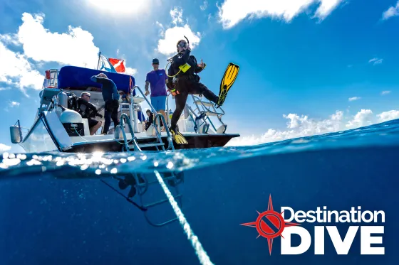 destination dive media