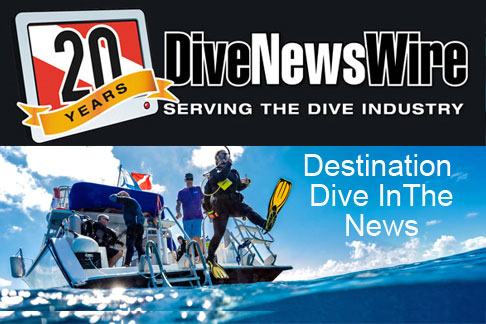 dive wire news media