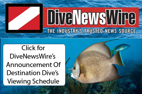 dive news wire