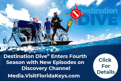 destination dive season 4