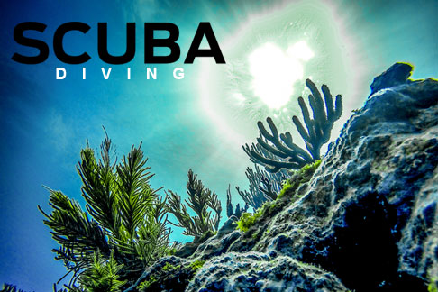 image of Scuba Diving magazine